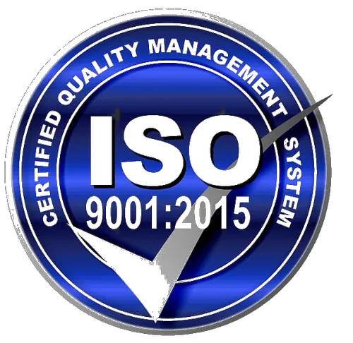 Logo 1